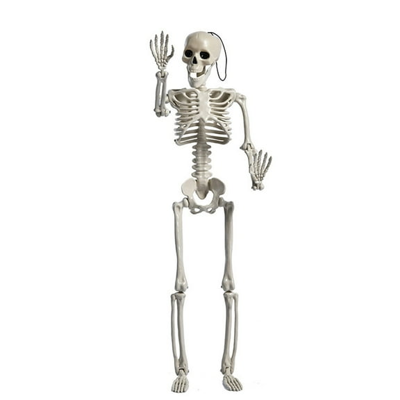 Mozhitti Experience Bone Terrifying Thrills With This 60cm Giant Plastic Skeleton For Spooktacular Halloween Decorations And Hauntingly Terrifying Atmosphere .