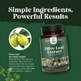 thumbnail image 4 of Potent Olive Leaf Extract Capsules - High Strength Antioxidant Supplement with Pure Olive Leaf with 20% Oleuropein - Herbal Heart Health Supplement - Vegan Non-GMO & Gluten Free (4 Month Supply), 4 of 9
