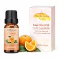 thumbnail image 1 of Aceite esencial Sedbuwza con fragancia de naranja para difusor, 10 ml, 1 of 7