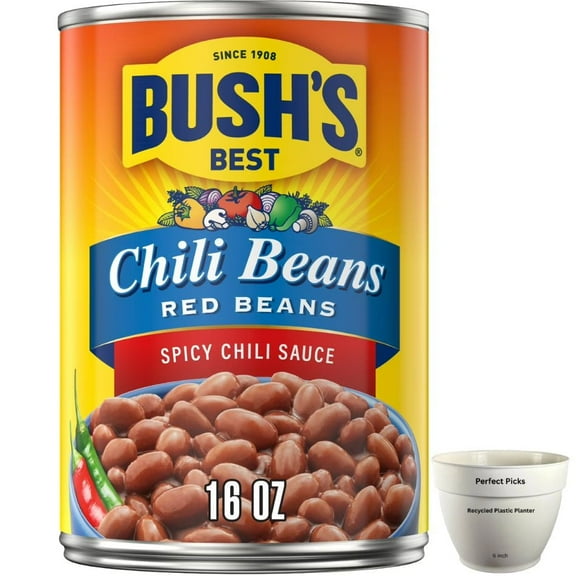 Bush's Chili Beans, Canned Red Beans in Hot Chili Sauce, 16 oz Can (4 pack)