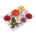 thumbnail image 2 of AMLESO Fleurs Séchées Pressées Multiples Décoration Florale DIY, 2 of 8