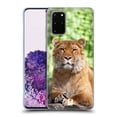 thumbnail image 1 of Head Case Designs Famous Animals Siberian Liger Soft Gel Case Compatible with Samsung Galaxy S20+ / S20+ 5G, 1 of 7