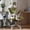 Green, variant on iooHug Ergonomic Mesh Office Chair with Adjustable Lumbar Support, Computer Desk Chair with Headrest, Flip-Up Arms, Black