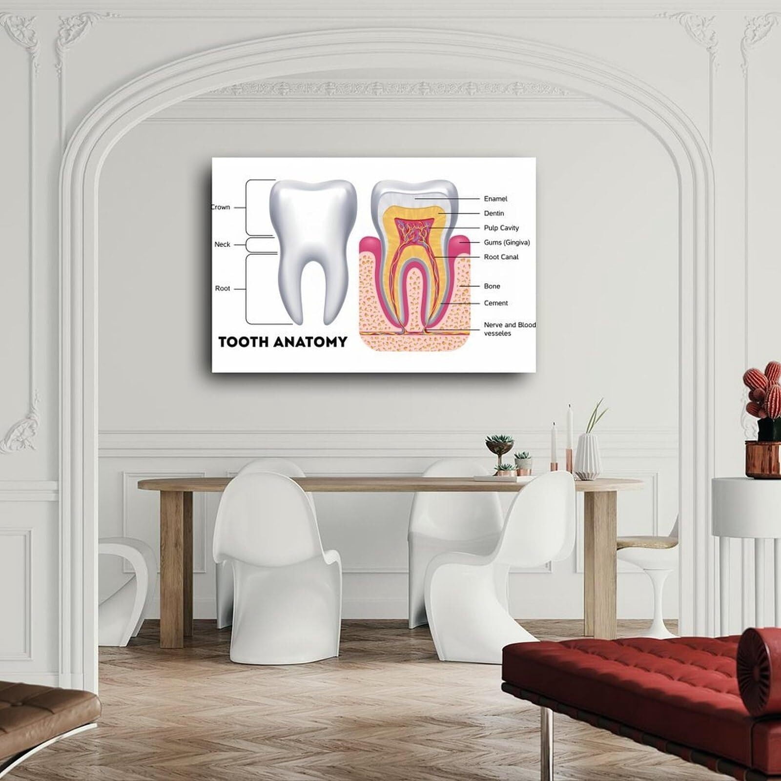 Dental Chart Office Decor Nursing School Essentials Medical Poster Canvas Painting Posters And Prints Wall Art for Living Room Bedroom Decor