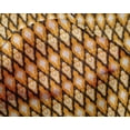 thumbnail image 4 of oneOone Silk Tabby Fabric Geometric Ikat Print Fabric By The Yard 42 Inch Wide, 4 of 4