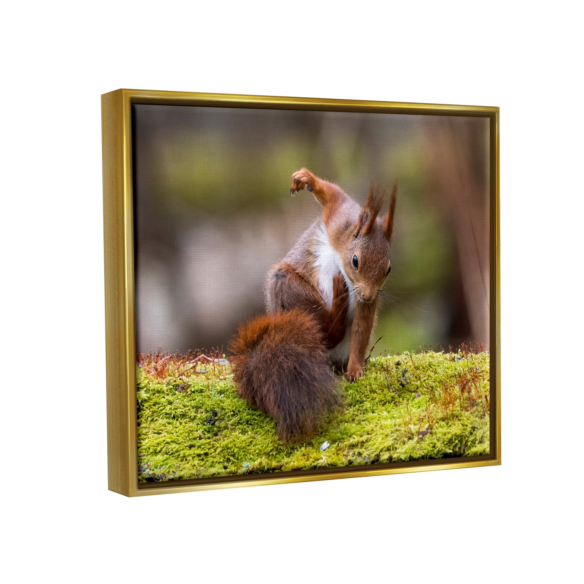 Stupell Industries Squirrel on Mossy Log Animals & Insects Photography Gold Floater Framed Canvas Art Print Wall Art, 21 x 17