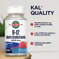 thumbnail image 5 of KAL B-12 Methylcobalamin 5000mcg ActivMelt, Raspberry Flavor | Healthy Metabolism, Energy & Red Blood Cell Support, 90ct, 5 of 7