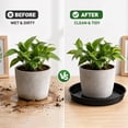 thumbnail image 6 of 16 Pack Plastic Plant Saucers, 6/8/10/12 inches Plant Tray for Pots, Heavy Duty Plant Drip Trays，Flower Water Trays for Indoor Outdoor Plants, 6 of 9