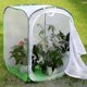 thumbnail image 4 of Tall Large Butterfly Habitat Cage Collapsible Terrarium Pop-up Lnches , Insect And Butterfly Net For Raising Inserts, 4 of 5