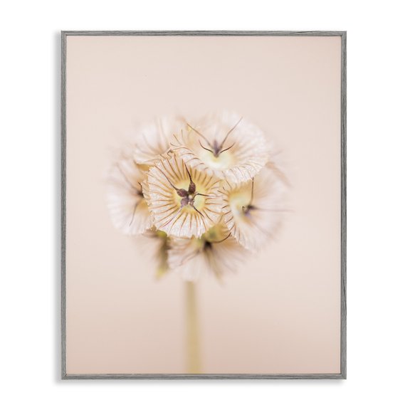 Stupell Industries Contemporary Pastel Pink Floral Sprig Bloom Gray Framed Giclee Art, 24 x 30, by Renee W. Stramel