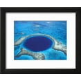 thumbnail image 2 of Aerial View of Blue Hole at Lighthouse Reef, Belize, Scenic Framed Art Print Wall Art by Greg Johnston Sold by Art.Com, 2 of 6
