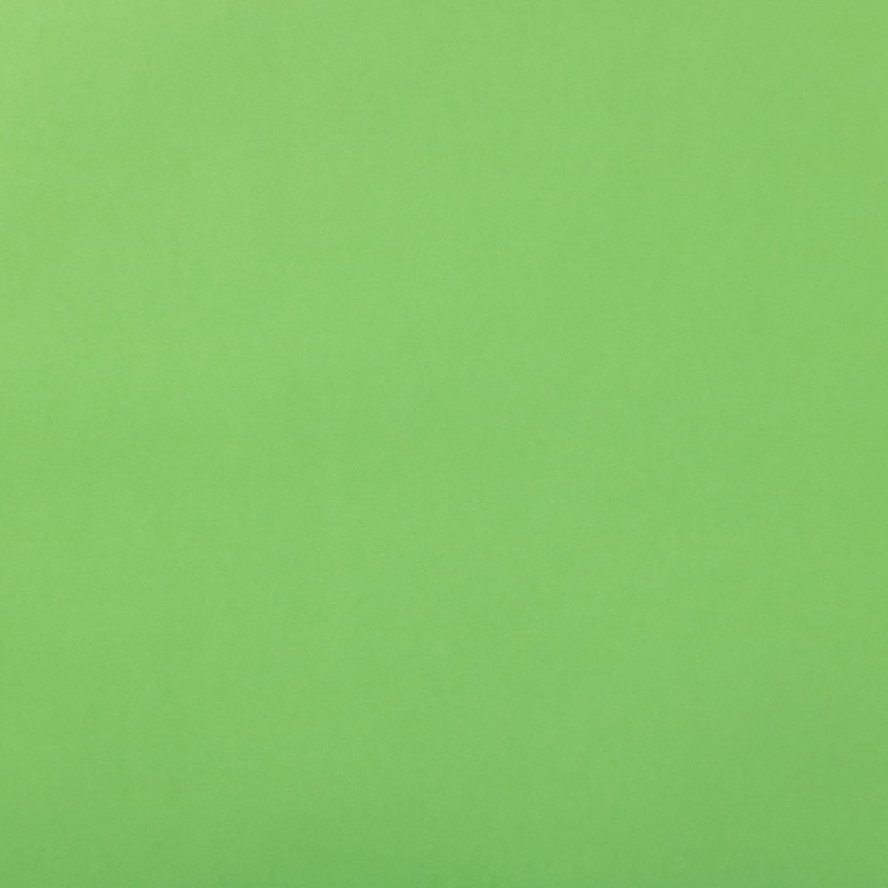 JAM Paper Green Gift Wrap Paper, 25 sq ft.