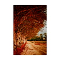 Trademark Fine Art 'Autumn Paths' Canvas Art by Pixie Pics