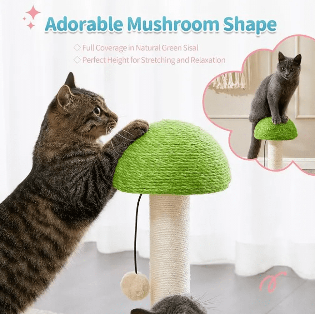 Cat Scratching Post, Mushroom Cat Scratcher with Sisal Ropes, Interactive Track Ball Toy, 2-in-1 Wood Scratch cattree
