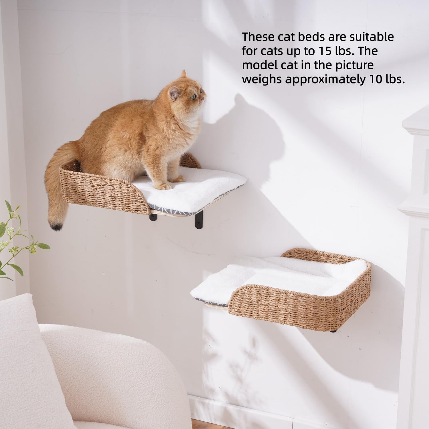 Wall Mounted Cat Bed Perch 12.6“ x 16.5” 2-Pack Wooden Shelves with Washable Pillow Cushions