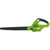 Greenworks 20v Lithium Ion Cordless Leaf