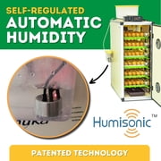 CT180SH Egg Incubator with Automatic Egg Turning & Perfect Humidity Controls, Set & Forget Design, Cabinet Incubators for Hatching Eggs, Incubate and Hatch 180 Chicken Eggs | Hatching Time