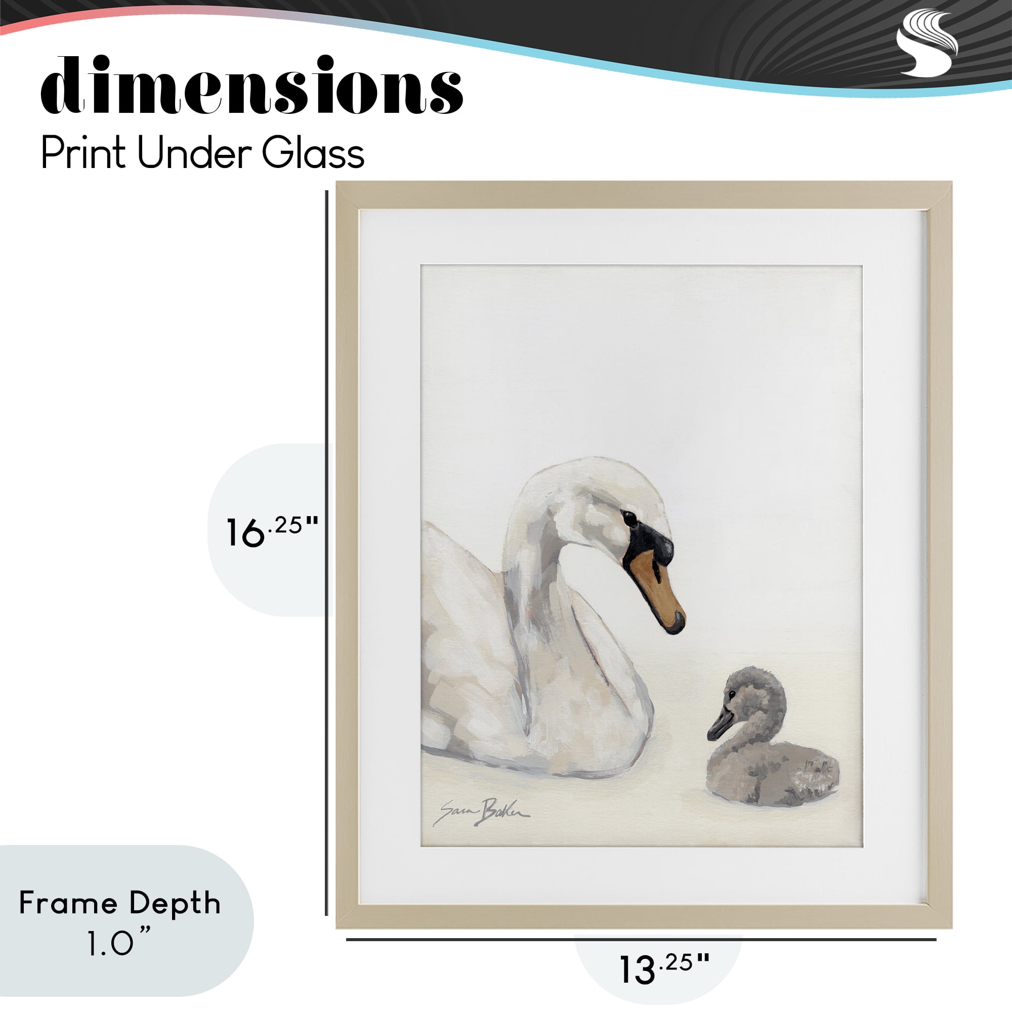 Stupell Industries Mother Swan & Cygnet Birch Framed Print Under Glass, design by Sara Baker