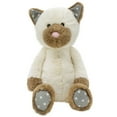 thumbnail image 1 of World's Softest Plush - Cat, 1 of 2