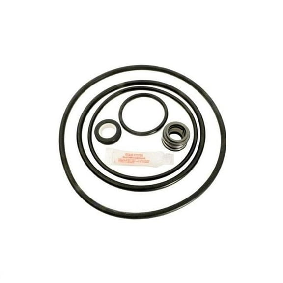 Aladdin Equipment GO-KIT47 Sta Rite Dynaglass & J Series Pump