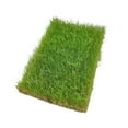 thumbnail image 4 of MERIGLARE Touffe d'Herbe Statique Modèle Touffes de Pelouse Déchirées à la Main pour Table de Sable Construction de Chemin de Fer Vert Printemps, 4 of 9