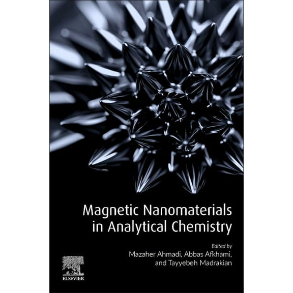 Magnetic Nanomaterials in Analytical Chemistry, (Paperback)