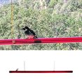 thumbnail image 2 of Alimentador de colibríes con orificio Manguera de alimentación Fácil de usar Colgar, 2 of 7