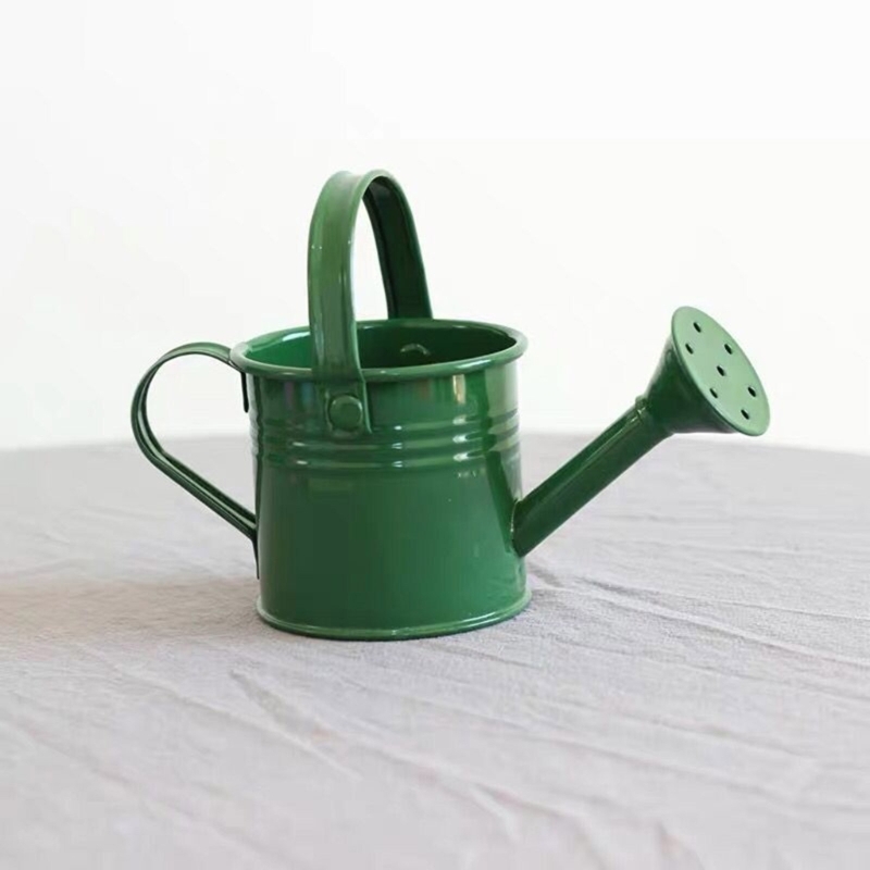 lanema 6Pcs Vibrant Mini Watering Can With Handle Durable Galvanized Iron For Garden