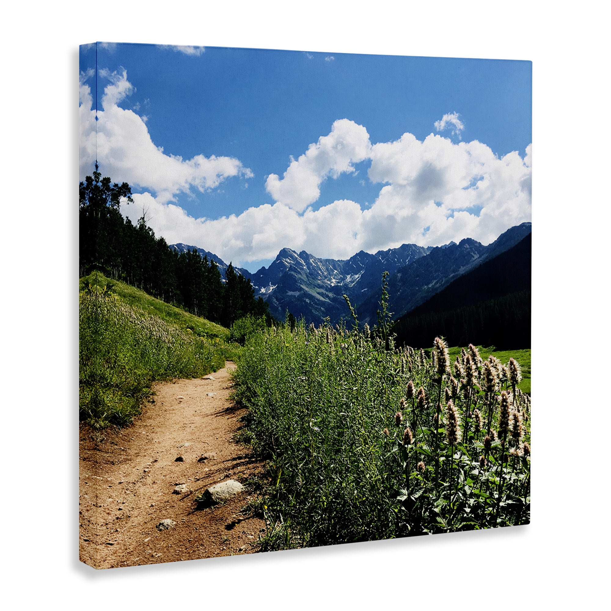 Stupell Industries Lovely Path with Clouds Landscape & Nature Photography Wrapped Canvas Art Print Wall Art, 30 x 30