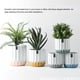 thumbnail image 5 of Injueey Macetas de cerámica para decoración Elegantes macetas de interior natural Macetas de jardín Interior para macetas profundas Flor de Jardín y Patio Blanco azul 12*12*13, 5 of 6