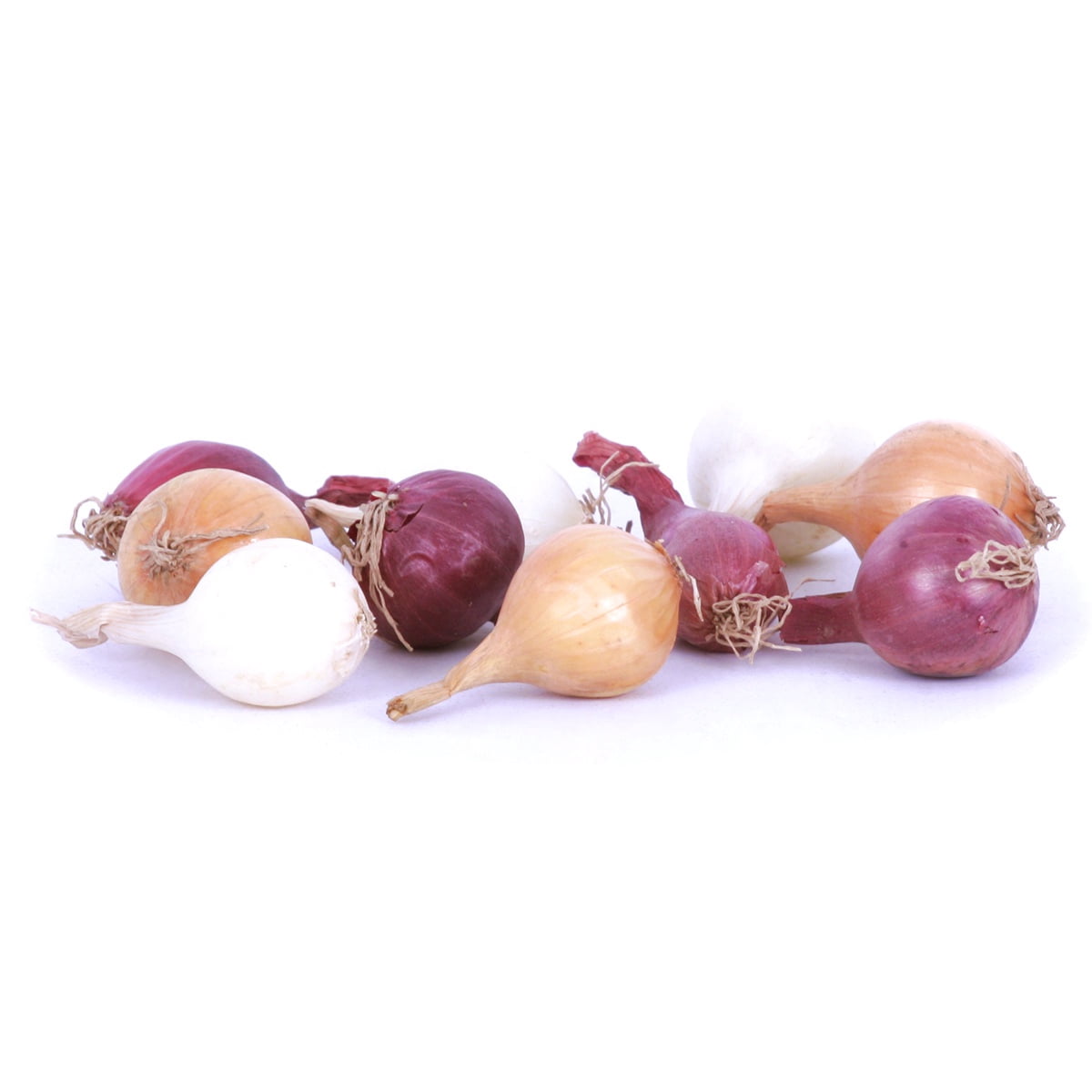 Van Zyverden Fresh Crop Onion Blend Set of 250 Bulbs White Full Sun