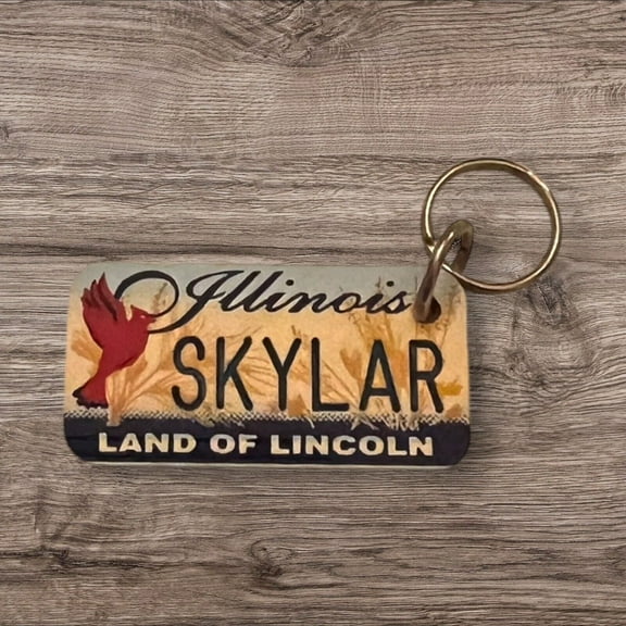 SKYLAR Name Keychain License Plate Illinois Land of Lincoln Great Holiday Gift