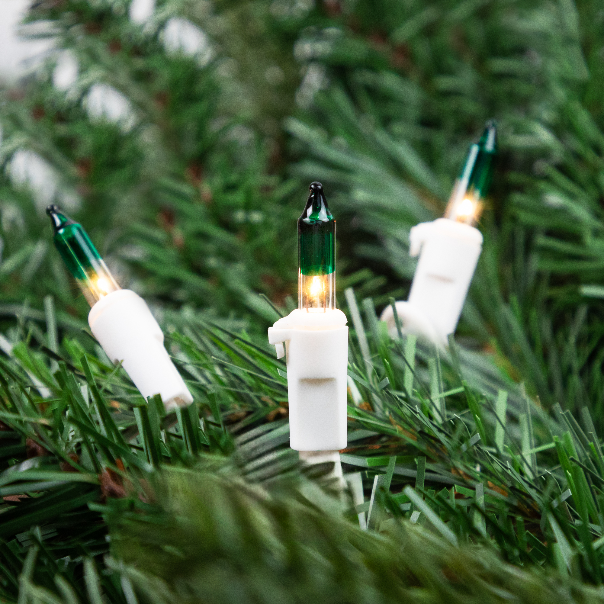Mini Christmas Light Set - Clear with Green Tip - 10' White Wire - 50ct