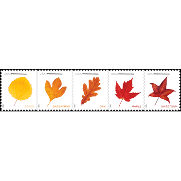 Vibrant Leaves POSTCARD RATE USPS Postage Stamp 1 Sheet of 20 US First Class Forever Celebration Announcement Wedding Fall Holiday (20 Stamps)