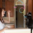 thumbnail image 4 of Jinsinto Cat Wand Rainbow Toys 2pcs Rainbow Ribbon Wand for Kitten Training Rainbow Ribbon Cat Charmer Wand Interactive Catcher Teaser Wand for Kitten Cat Exerciser 28cm, 4 of 5