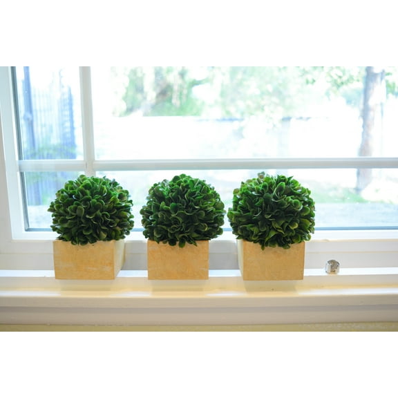 Admired By Nature Faux Preserved Artificial Boxwood Ball Topiary Artificial Plant Tabletop In Pot 5.5"H, Set of 3