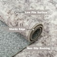 thumbnail image 4 of ASPILLOW Washable Area Rug 5x7 Soft Anti-slip Carpet Vintage Inspired Distressed Low Pile for Living Room Dining Room Bedroom Den, 4 of 8