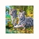 thumbnail image 1 of 5D DIY tigres blancos pintura de diamantes de cristal Animal bordado de diamantes de imitación paisaje imagen de costura hogar familiar punto de cruz Yuarrent JJ12243-00, 1 of 5