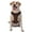 With Accessories, variant on Vsdgher Gold Glitter Heart Pattern Dog Harness,No Pull Pet Harness with Soft Padded Handle,Adjustable Reflective Vest with 2 Buckles,4 Slide Buckles,S-XL Large