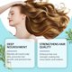 thumbnail image 2 of Hoegoa Rosemary Shampoo Nourishes, Moisturizes, Brightens, Softens, Cleanses And Moisturizes Scalp Shampoo, 2 of 5