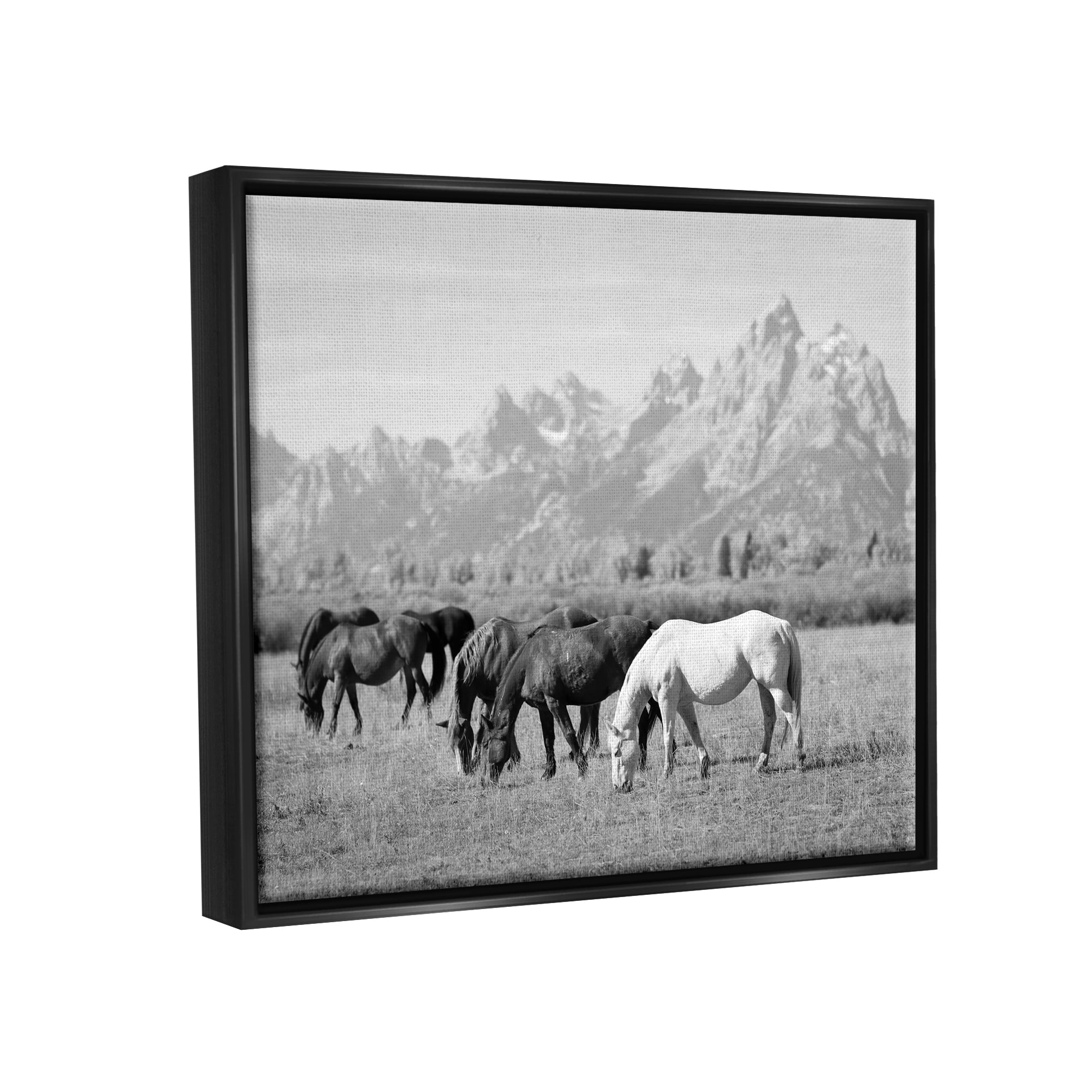 Stupell Industries Horses Grazing by Mountains Animals & Insects Photography Black Floater Framed Canvas Art Print Wall Art, 21 x 17