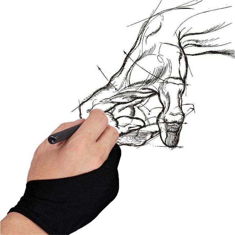 Digital Drawing Glove Right Hand for ipad, Paper Sketching,2 Pack Artist  Glove for Drawing Tablet,Two Finger Art Glove Left Hand,Smudge Guard,Medium