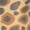 Beige, variant on Animal Planet - Leopard Print Set of Two Print Sleeves