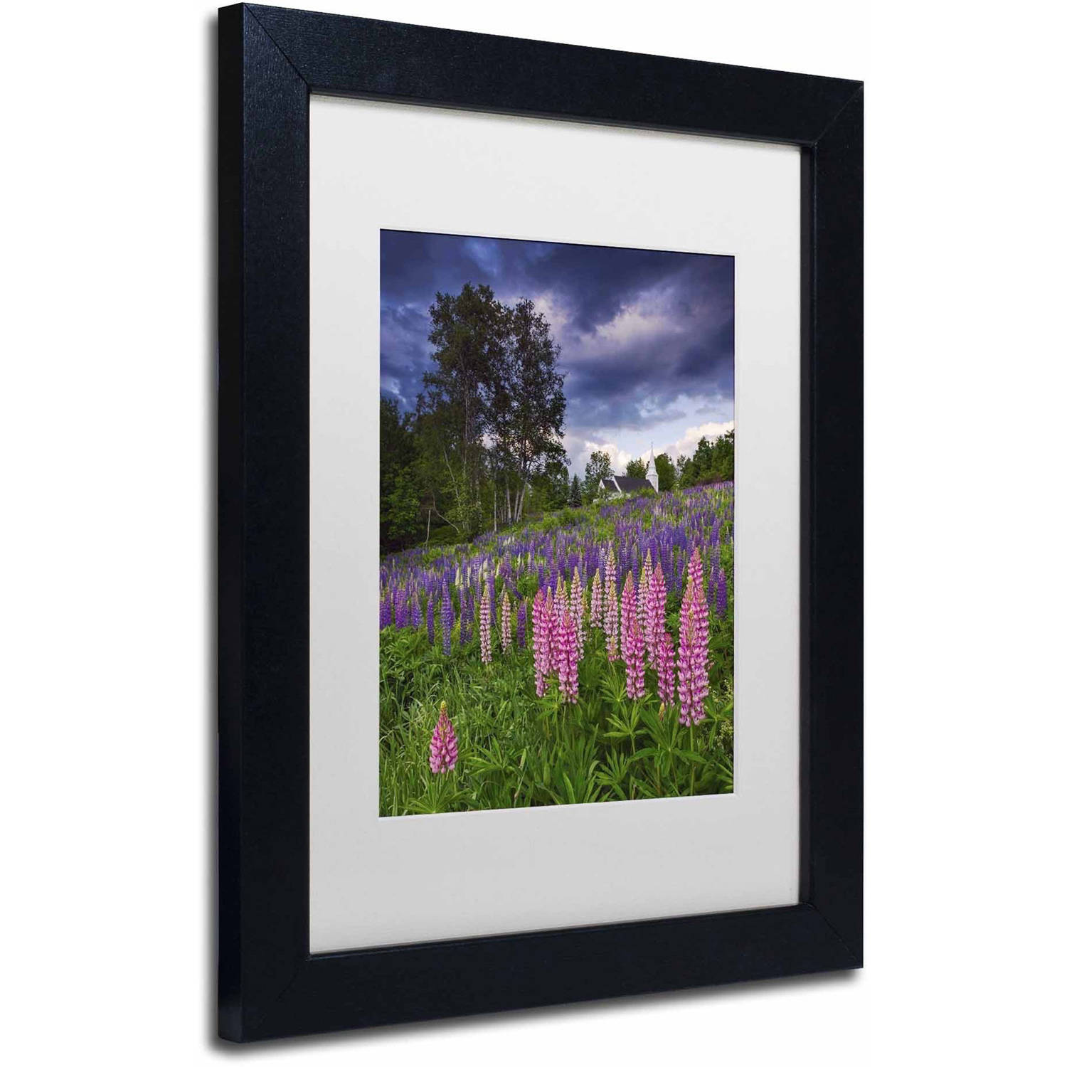 Trademark Fine Art 'Lupines on the Hill' Canvas Art by Michael Blanchette Photography, White Matte, Black Frame
