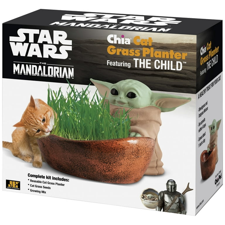 Chia Pet Planter- Yoda Head Star Wars Unique Home Decor