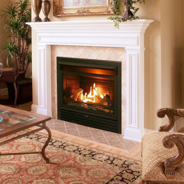 Duluth Forge Dual Fuel Ventless GasFireplace Insert - 26,000 BTU, T-Stat  Control FDF300T - Walmart.com