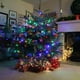 thumbnail image 5 of Guirnalda de luces navideñas Dazzle Bright, 300 LED, 30 m, resistente al agua, 5 of 7