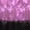 Pink&Silver, variant on Kids Boys Boxing Shorts MMA Kickboxing Martial Arts Muay Thai Athletic Boxer Shorts Sportswear Pink&Silver 16