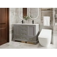 thumbnail image 3 of 48" Bathroom Vanity with Sink Combo, Vintage Bathroom Vanities Storage Cabinet w/Painted Surface, Raised Arch Feet, Soft Closing Doors, Undermount Sink Faucet Drain, Gray, 3 of 14
