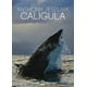 Anthony Jeselnik: Caligula DVD – image 1 sur 1